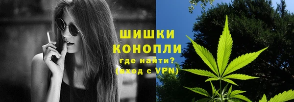 спиды Богородск