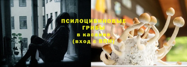 спиды Богородск