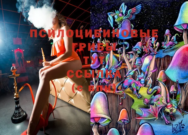 кокаин перу Богданович