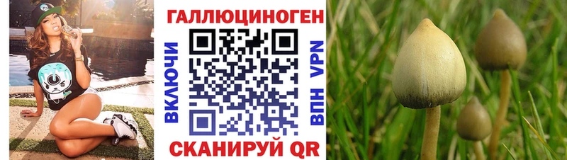 Купить закладки  Медногорск  Псилоцибиновые грибы прущие грибы 